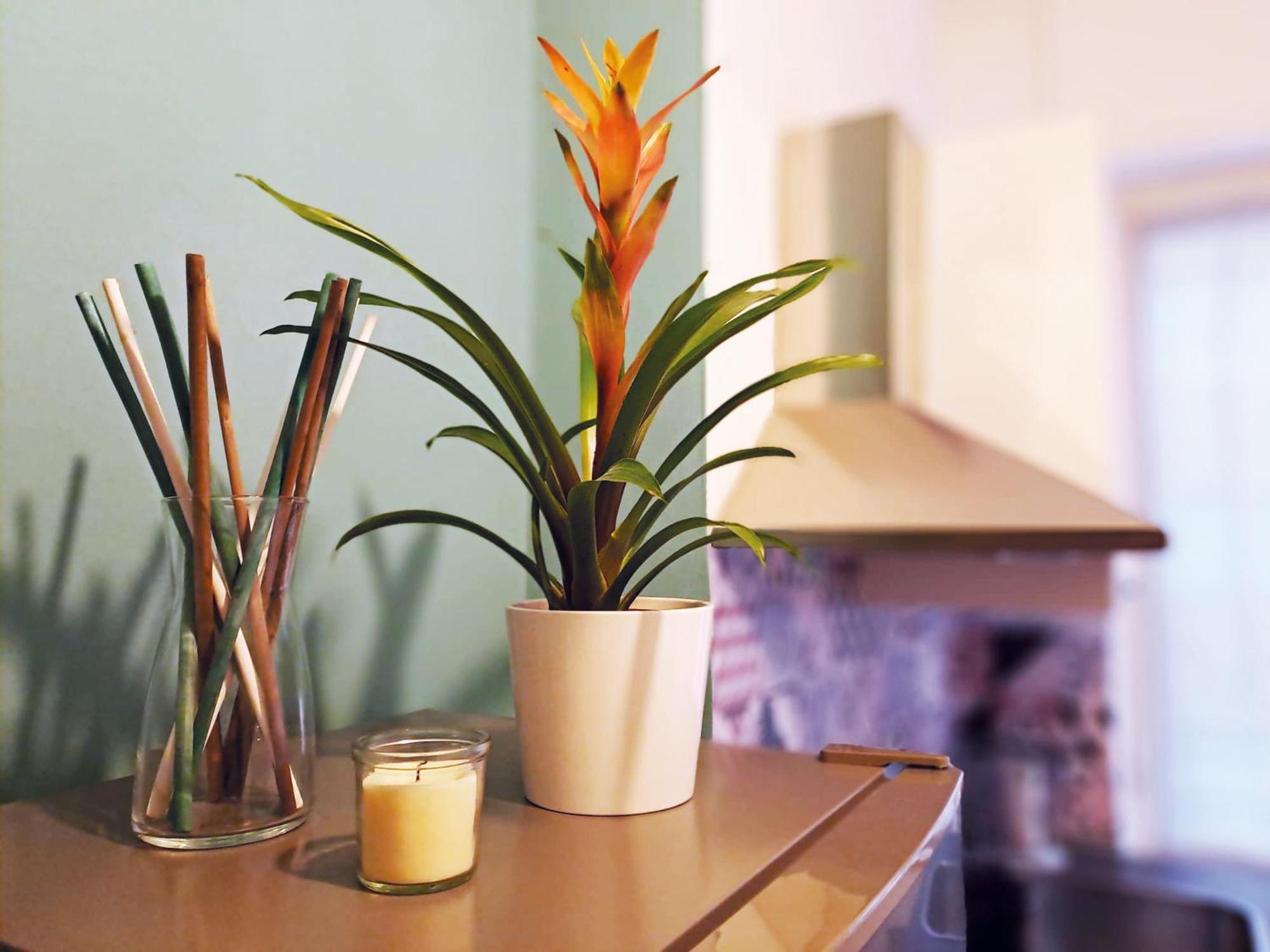 Jaky Maison Torino, Cozy & Modern Stay With Wi-Fi, Kitchen & Balcony Esterno foto